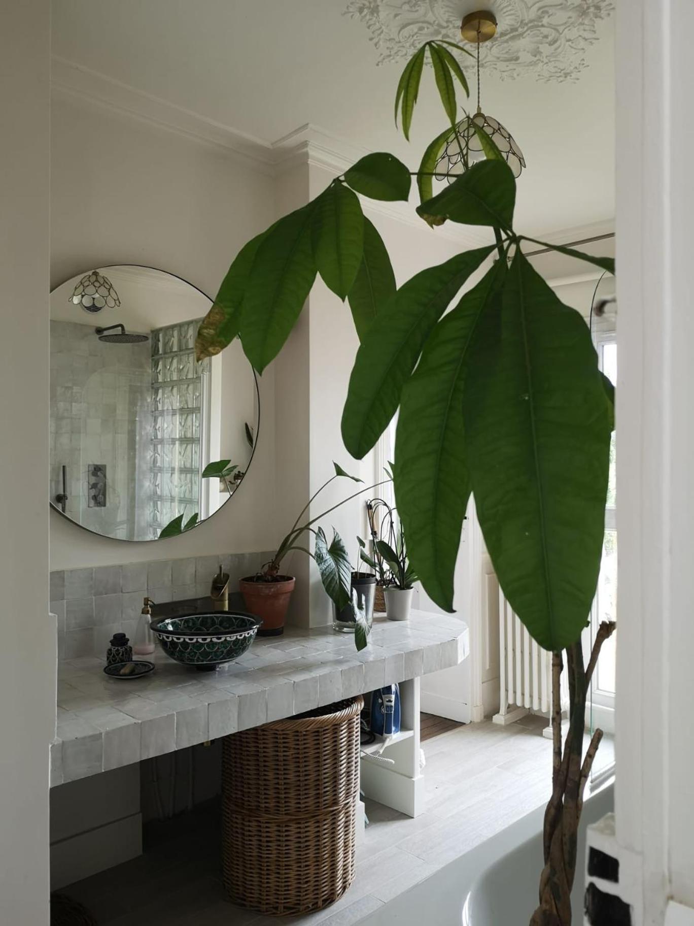 Lumiere & Majeste Appartement Versailles Esterno foto